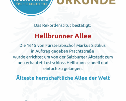 ÖRN 220217 - Älteste Allee der Welt © Rekord·Institut ÖSTERREICH