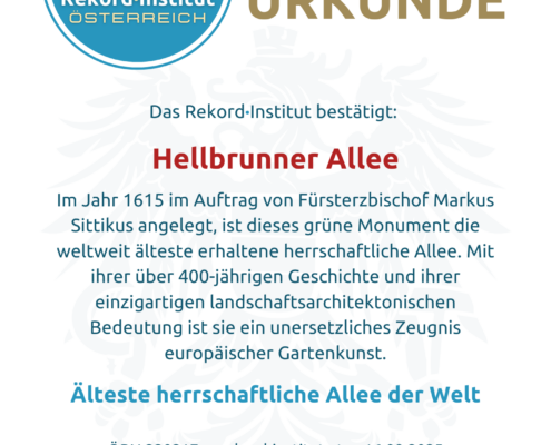 ÖRN 220217 - Älteste Allee der Welt © Rekord·Institut ÖSTERREICH