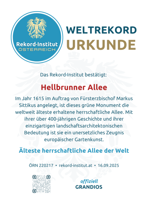 ÖRN 220217 - Älteste Allee der Welt © Rekord·Institut ÖSTERREICH