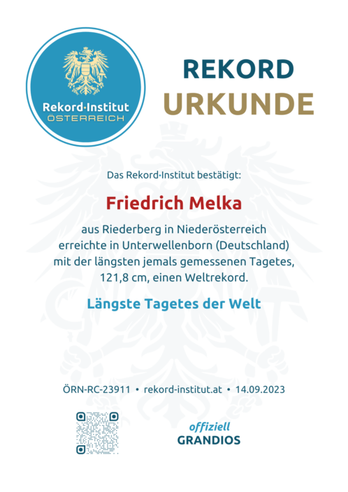 ÖRN-RC-23911 - Längste Tagetes der Welt © Rekord·Institut ÖSTERREICH