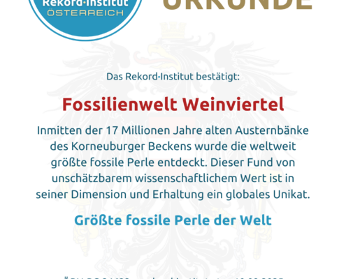 ÖRN-RC-24622 - Größte fossile Perle der Welt © Rekord·Institut ÖSTERREICH